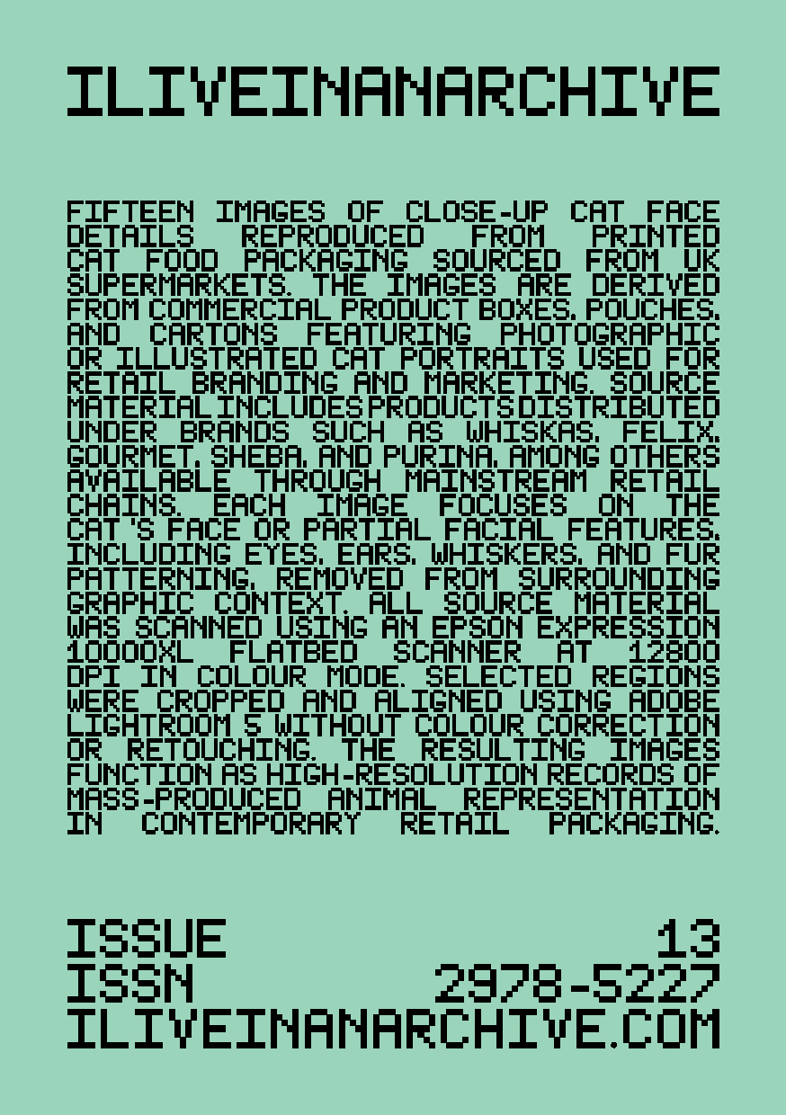 Issue 013 Cover